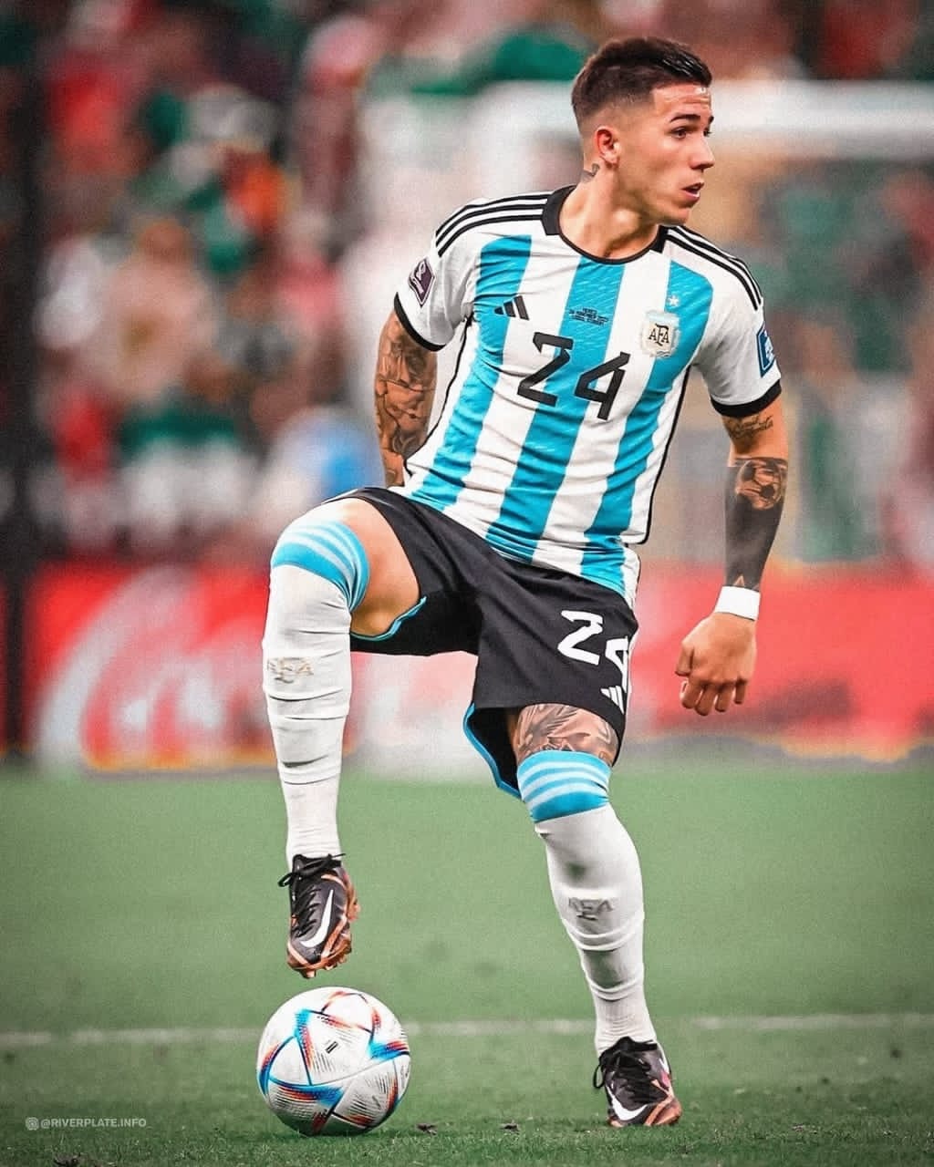 Enzo Fernández suffers knee inflammation